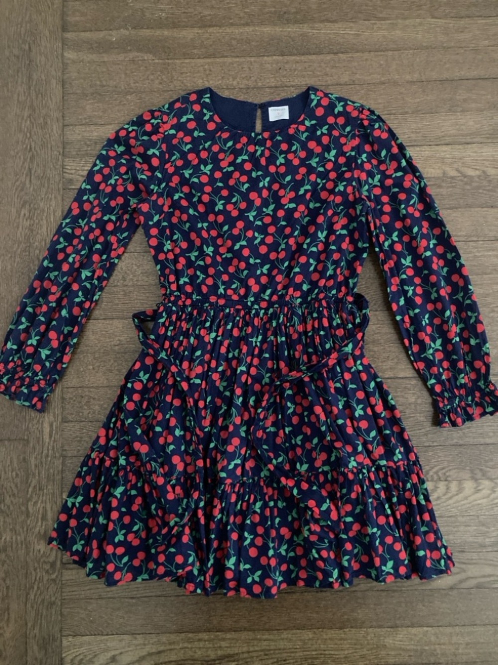 Crewcuts Girls’ Puff-Sleeve Cherry Voile Dress Size 14Y